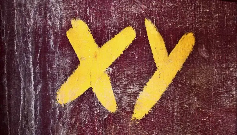 Sex Chromosomes Influence Disease Risk Beyond Sex Determination