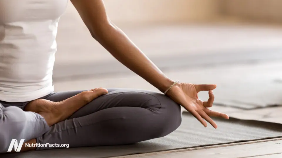 Yoga’s Scientific Verdict: What the Evidence Reveals